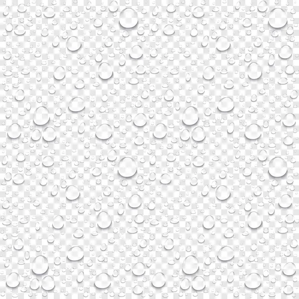 Realistic vector water drops transparent background. Clean drop condensation illustration — Stock Vector