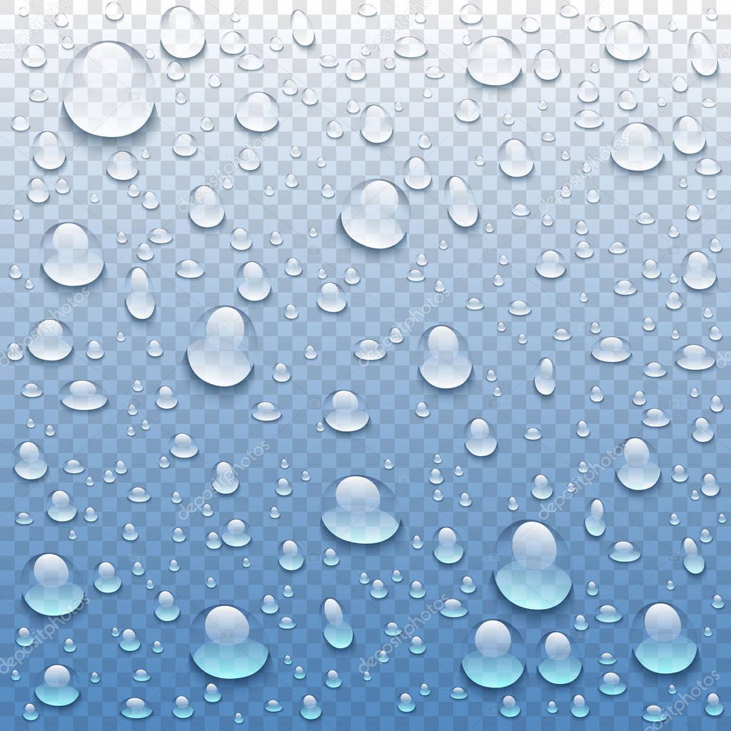 Vector realistic water drops on transparent background. Rain drops without shadows for transparent surface. Many forms and sizes.