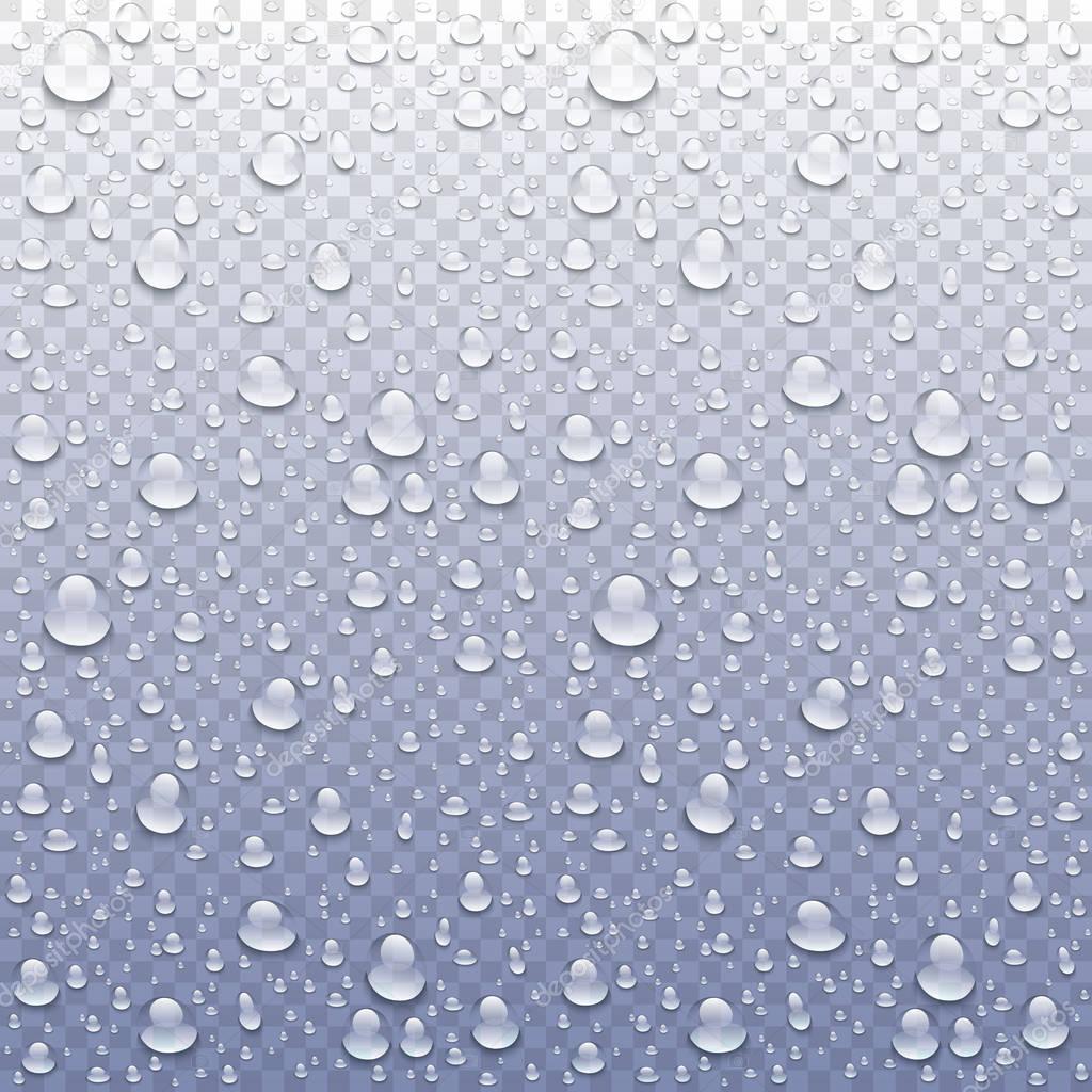 Vector Photo Realistic Image Of Raindrops Or Vapor Trough Window Glass