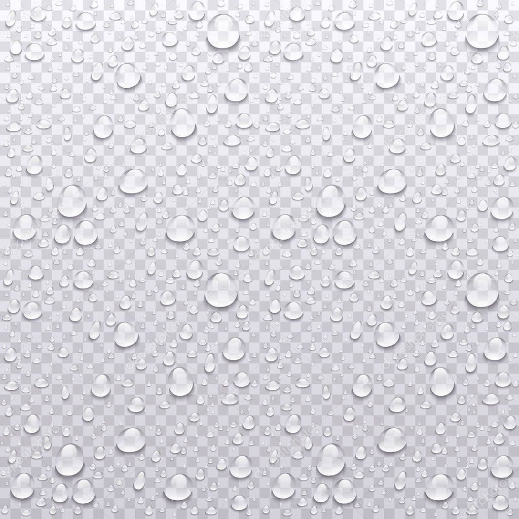 Realistic vector water drops transparent background. Clean drop condensation illustration