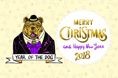 Köpek. Mutlu Noeller ve mutlu bir yeni yıl 2018. Mutlu, komik bulldog