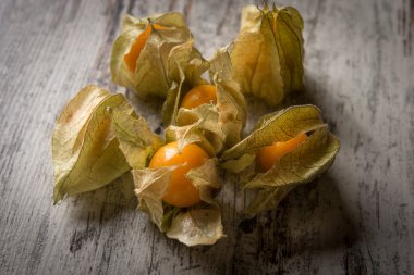 exotic ripe physalis clipart