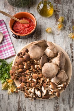 Tahtada taze mantarlar