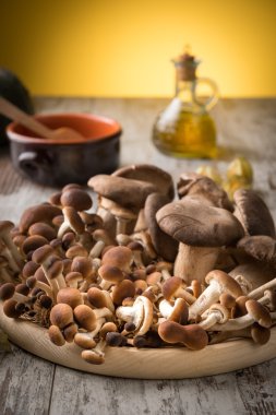 Tahtada taze mantarlar