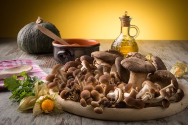 Tahtada taze mantarlar