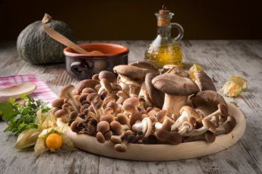 Tahtada taze mantarlar