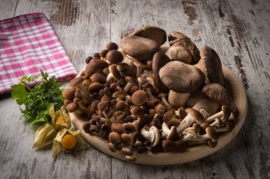 Tahtada taze mantarlar