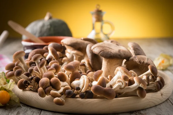 Verse champignons op een houten plank — Stockfoto