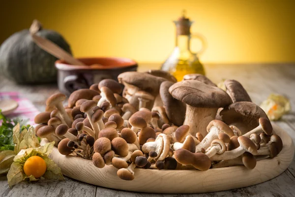 Verse champignons op een houten plank — Stockfoto