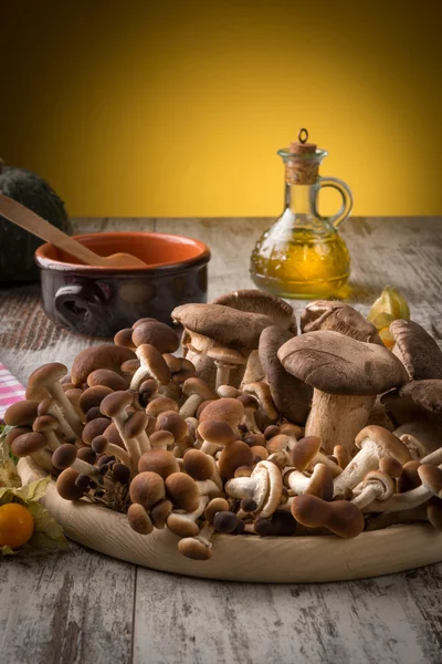 Paddestoelen rustend op tafel — Stockfoto