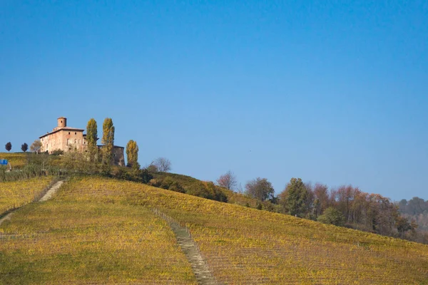 Середньовічний замок, оточений виноградниками — стокове фото