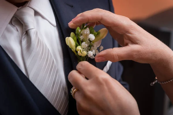 Mãos arranjando flores — Fotografia de Stock