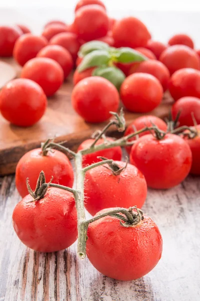 Tahta masadaki taze domatesler