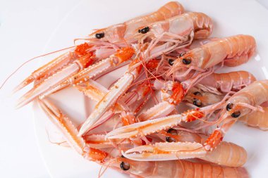 Haşlanmış Norveç ıstakozları tabakta, yakın çekim.