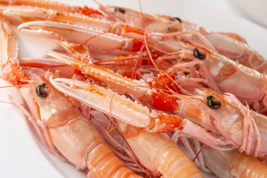 Haşlanmış Norveç ıstakozları tabakta, yakın çekim.