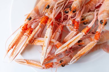 Haşlanmış Norveç ıstakozları tabakta, yakın çekim.