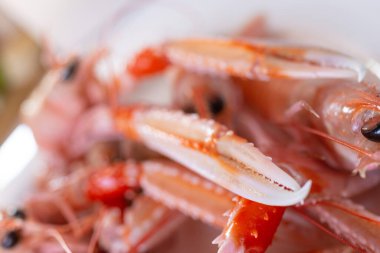 Haşlanmış Norveç ıstakozları tabakta, yakın çekim.