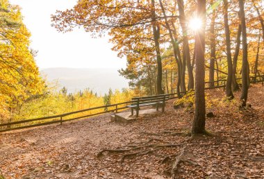 Rdesheim am Reihn City ve Rihne Nehri, Almanya, 