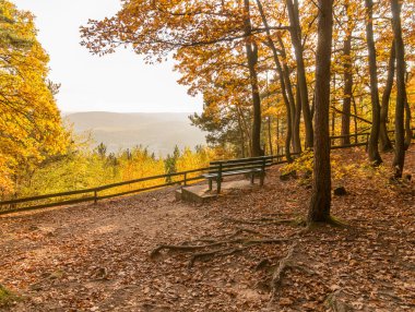 Rdesheim am Reihn City ve Rihne Nehri, Almanya, 