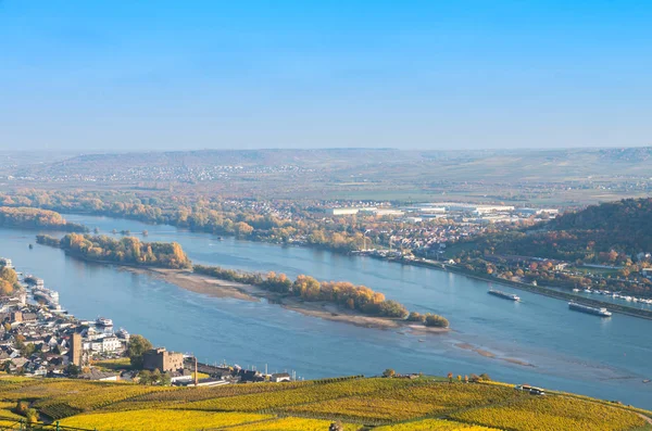 Vue Ville Rdesheim Reihn Rivière Rihne Allemagne — Photo