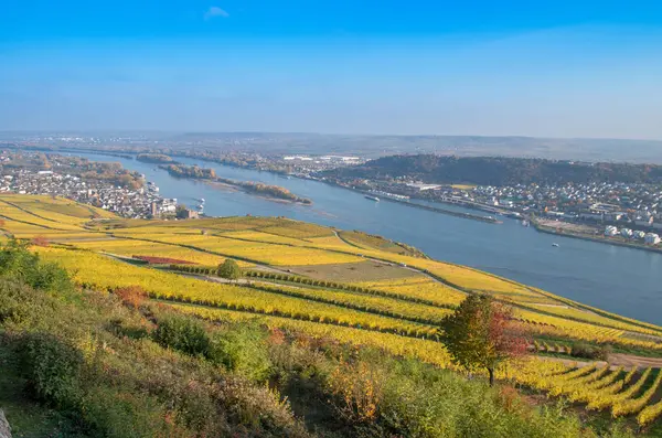 View Rdesheim Reihn City Rihne River Germany — Stock Photo, Image