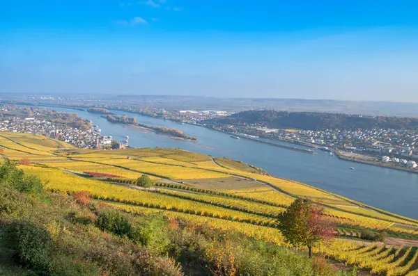 Vista Ciudad Rdesheim Reihn Río Rihne Alemania — Foto de Stock
