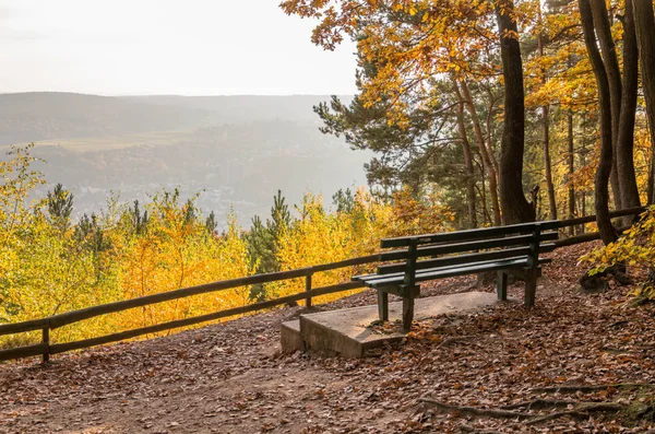 Rdesheim am Reihn City ve Rihne Nehri, Almanya, 