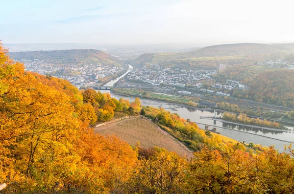 Pohled Město Rdesheim Reihn Řeku Rihne Německo — Stock fotografie