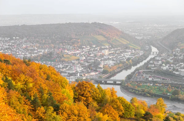 Kilátás Rdesheim Reihn City Rihne Folyóra Németország — Stock Fotó