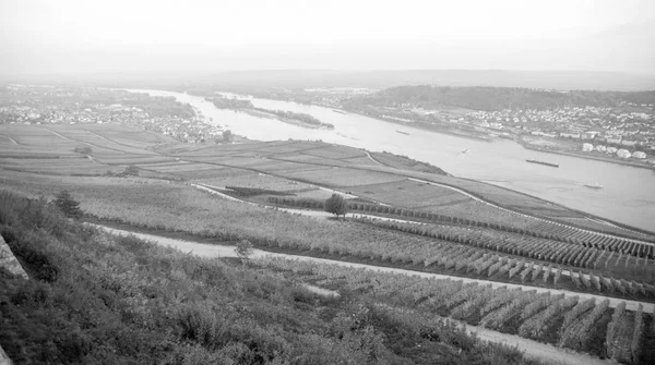 Widok Rheingau Hesja Niemcy — Zdjęcie stockowe