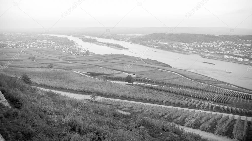 View of the Rheingau, Hessen, Germany