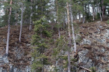 dağ nehirleri ve şelaleler