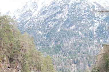 dağ nehirleri ve şelaleler