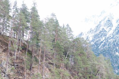 dağ nehirleri ve şelaleler