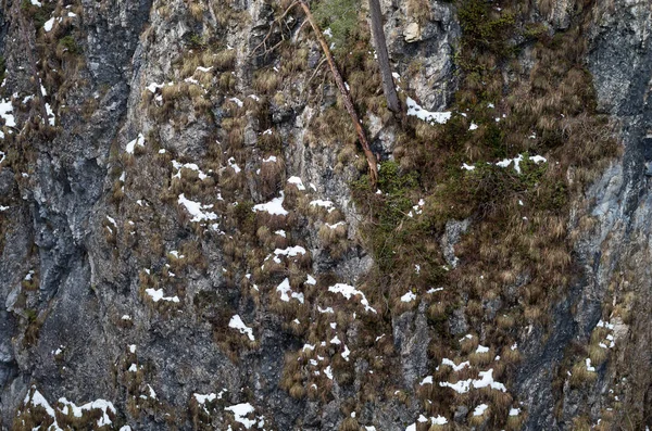 Rivières Montagne Cascades — Photo