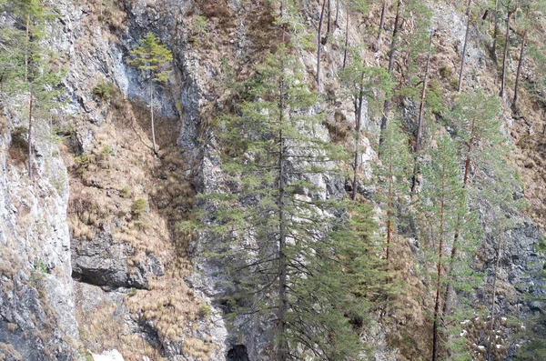 Ríos Montaña Cascadas — Foto de Stock