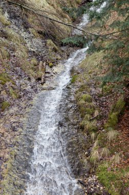 dağ nehirleri ve şelaleler