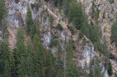 dağ nehirleri ve şelaleler