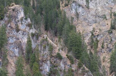 dağ nehirleri ve şelaleler