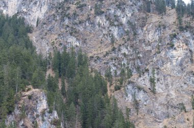 dağ nehirleri ve şelaleler