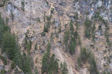 dağ nehirleri ve şelaleler