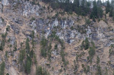 dağ nehirleri ve şelaleler