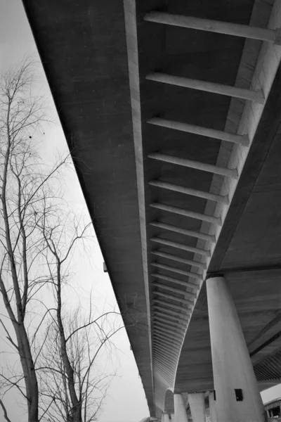 Béton Abstrait Baisse Construction Ponts Noir Blanc — Photo