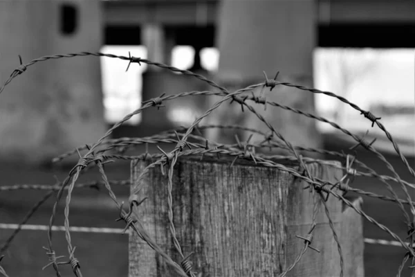 Barbwire Wooden Pole Concrete Pillars Inthe Background — Stock Photo, Image