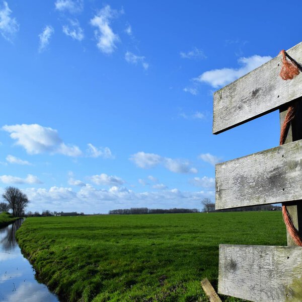 Типичный голландский деревообрабатывающий забор в сельской местности
