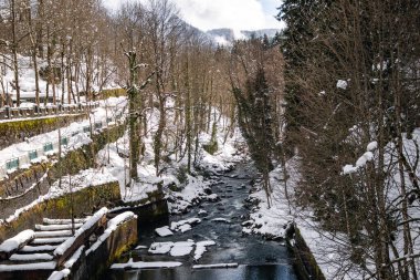 Bir dağ nehri ve dağların akıntılarının manzarası; Ritsa Abhazya Gölü