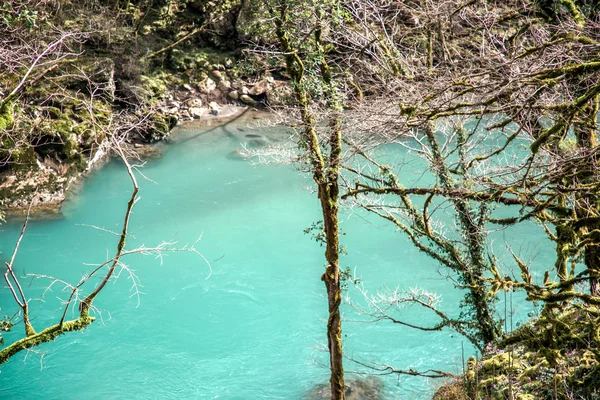 Gök mavisi suyu olan güzel dağ nehri manzarası Abhazya