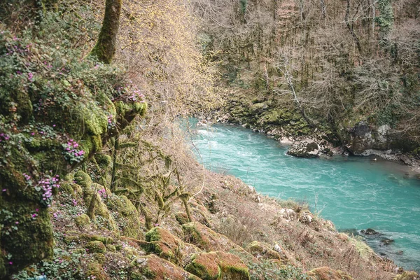 Gök mavisi suyu olan güzel dağ nehri manzarası Abhazya