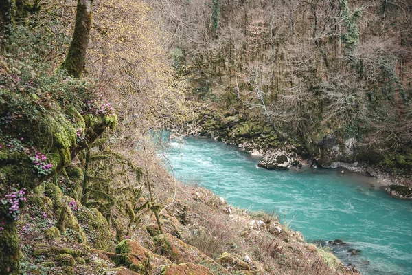 Gök mavisi suyu olan güzel dağ nehri manzarası Abhazya