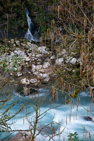 Bir dağ nehrinin uzun şelaleleri